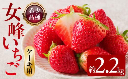 希少ないちご ケーキ用 女峰いちご 約2.2kg【2025年1月上旬～2025年5月下旬配送】