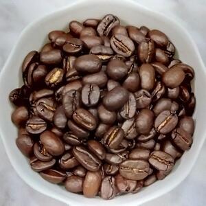 【ハイロースト】コーヒー豆　メキシコ SHG クステペック農園　Qグレード　coffeebeans & sweets Antiqueによるこだわり焙煎豆