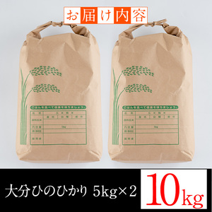 ＜令和5年産＞大分ひのひかり(計10kg・5kg×2袋) 米 ひのひかり ヒノヒカリ 精米 白米 大分県産 大分県 佐伯市【AJ80】【 (有)ケーキ大使館クアンカ・ド－ネ】