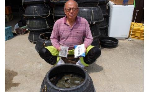 ｃ-９２　冷凍スッポン　３～４人前