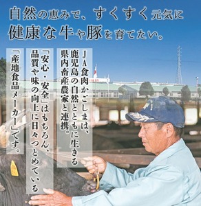 ＜数量・期間限定＞鹿児島黒牛 モモ切り落としセット 900g（300g×3P）（J-1901）牛丼 炒め物 ＼2026年2月から4月にかけて順次出荷／【A-1983H】