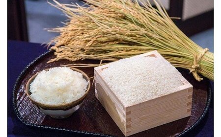 【令和6年産】福井が生んだブランド米「福井県産いちほまれ」5kg × 2袋  【計10kg 小分け 米 お米 コメ 福井県】 [A-014003]