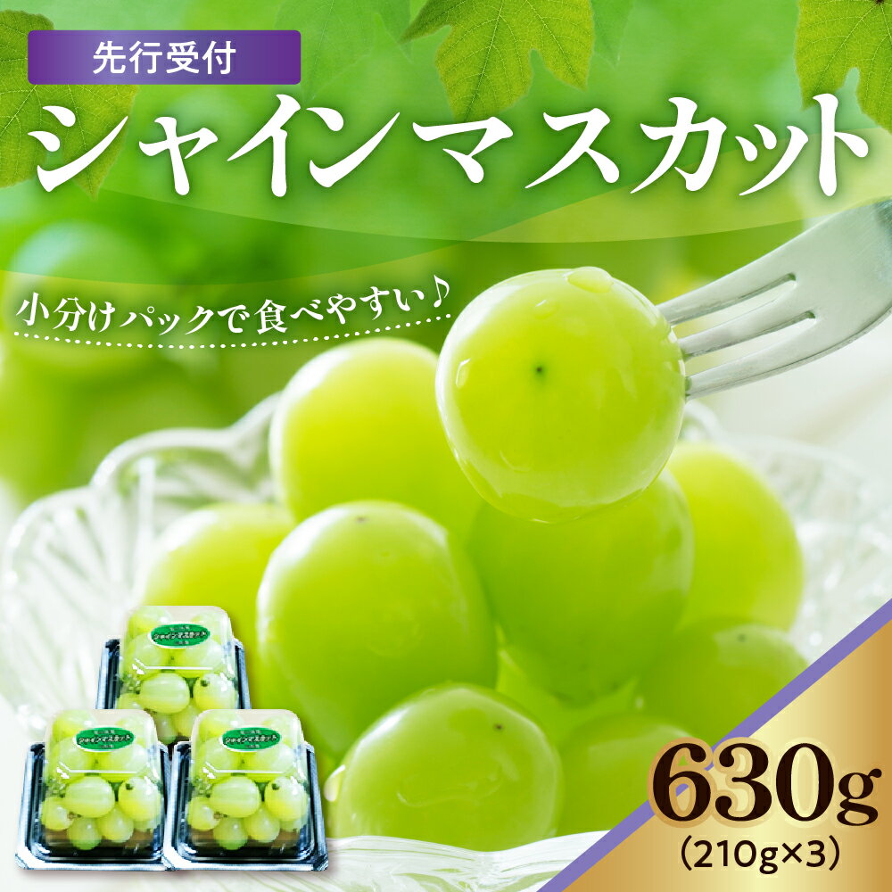 【ふるさと納税】【先行予約】【令和7年産】【 数量限定 】シャインマスカット 3パック〔 2025年9月中旬頃 ～ お届け 〕 ぶどう 白ぶどう 2025年産 ブドウ 葡萄 フルーツ 果物 くだもの 粒パック 種なし 山形県産 産地直送 農家直送 山形県 米沢市