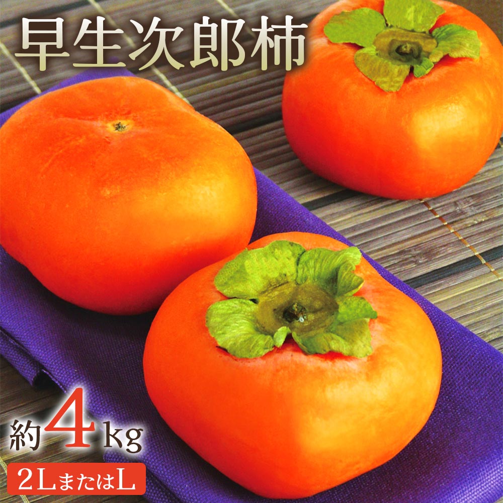 【ふるさと納税】早生次郎柿 約4kg【2025年10月下旬発送】[0354]