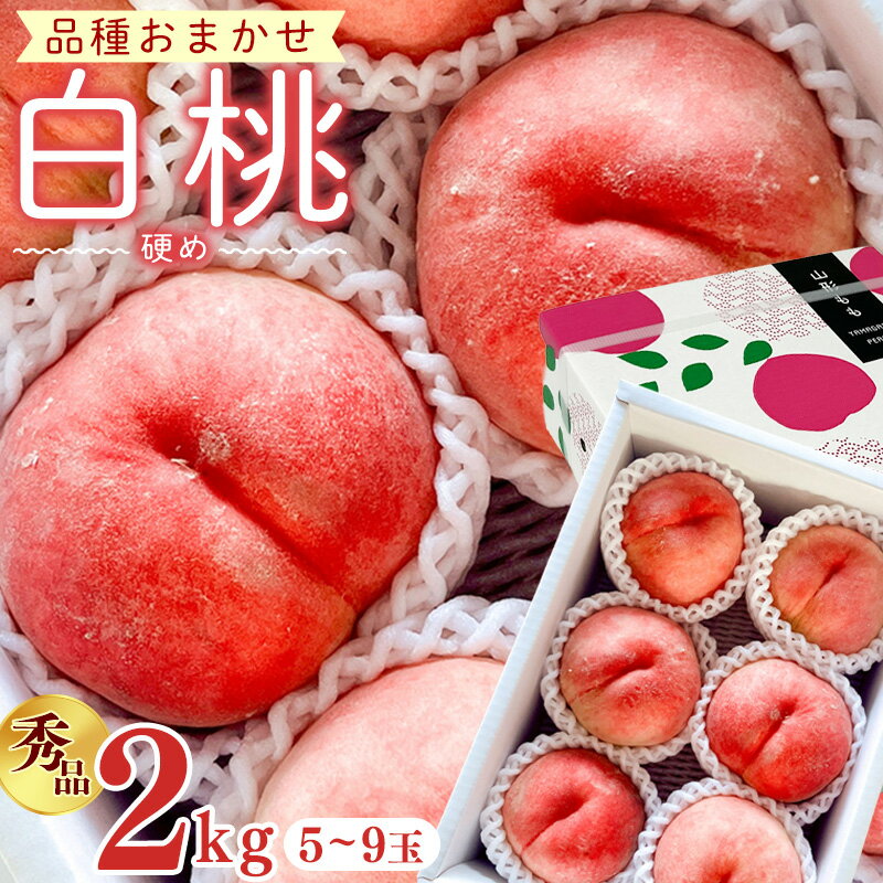 【ふるさと納税】【先行予約】令和8年産 白桃 硬めの桃 秀品 2kg ( 5玉 - 9玉 ) 品種おまかせ 山形県産【2026年8月上旬頃から下旬頃発送予定】※配送不可 沖縄・離島 2026年産 フルーツ 果物 果実 山形産