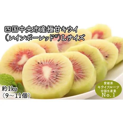 ＜10月下旬以降発送＞【ぽぽ農園】レインボーレッドキウイ(四国中央市産極甘キウイ） Lサイズ約1kg（9～11個）
