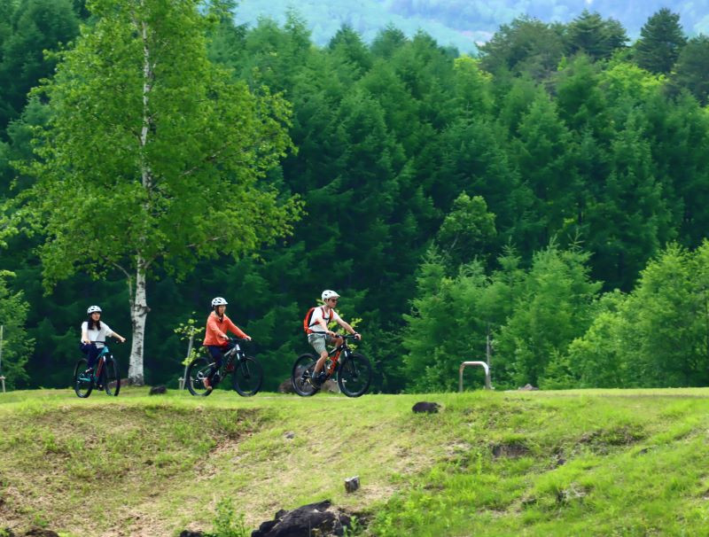 乗鞍高原内に広がるサイクリングロードをクルーズするには、マウンテンバイクが最適！