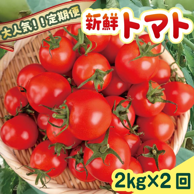 【ふるさと納税】 【新鮮トマトを贅沢に4kg！】 安田町産 新鮮トマト 2kg 定期便 2回 計4kg 採れたて 新鮮 トマト とまと トマト フルーツトマト ミディトマト 2kg 2回 2ヶ月 定期便 農家直送 甘い 濃厚 美味しい 完熟 国産 先行予約 期間限定 高知県 安田町 TR-23