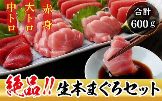 【冷蔵・指定日着可】絶品！生本マグロ セット 大トロ 200g + 中トロ 200g + 赤身 200g　（すべて柵どり）