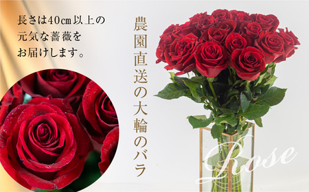 バラ 花束 大輪 赤 30本 (40cm) ブーケ 薔薇の花束