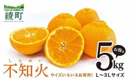 [先行予約] 不知火 サイズいろいろ お得な5kg【みかん しらぬい 不知火 フルーツ 柑橘 蜜柑 果物 くだもの 宮崎 綾町】
