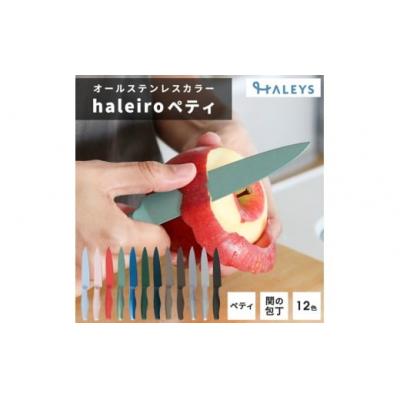 ふるさと納税 春日井市 【ネモフィラブルー】オールステンレスのカラー包丁「haleiro(ハレイロ)」ペティ
