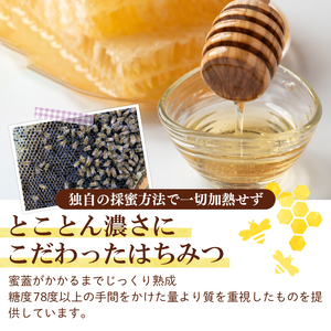 はちみつ チューブ 2本セット（みかん･クロガネモチ）各200g はちみつ