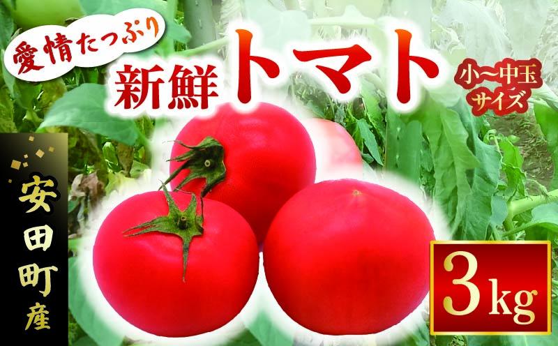 安田町産 愛情たっぷり新鮮トマト3kg 新鮮 トマト 数量限定 詰め合わせ セット 甘い 旬 野菜 3kg 3キロ 採れたて くだもの 夏野菜  ギフト ふるさと納税 高知県 安田町  TR-04