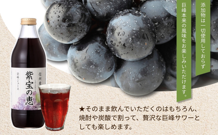 【6か月定期便】ぶどうジュース 「紫宝の恵」 ストレート果汁100％  (1L×4本) | ぶどうジュース