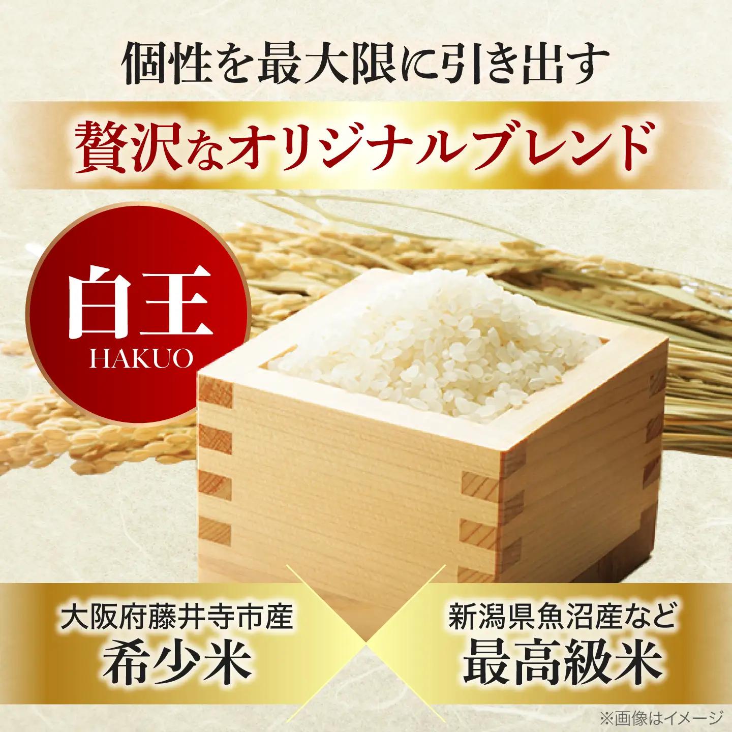 お米 白王(HAKUO) 10kg（5kg×2個） お米 BLAZ003