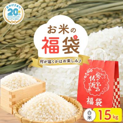ふるさと納税 佐渡市 【20周年記念】お米の福袋|精米15kg 令和7年産 (佐渡産コシヒカリ確定+食べ比べセット)