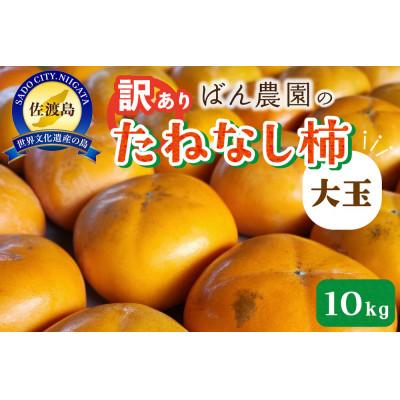 ふるさと納税 佐渡市 【2025年10月以降発送分】訳あり　佐渡島産大玉たねなし柿　10kg(箱の重さ込み)　