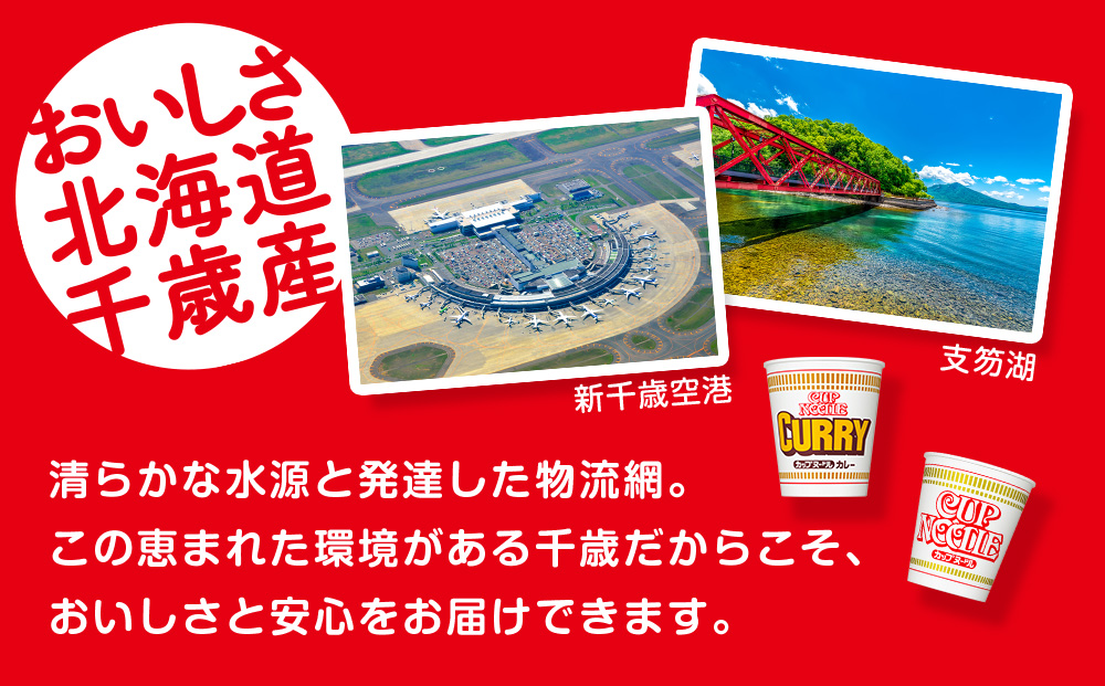 日清ヌードル2種セット カップヌードル・カレーヌードル各20食 ラーメン 麺 即席麺 麺類 カップ麺 インスタント カップラーメン