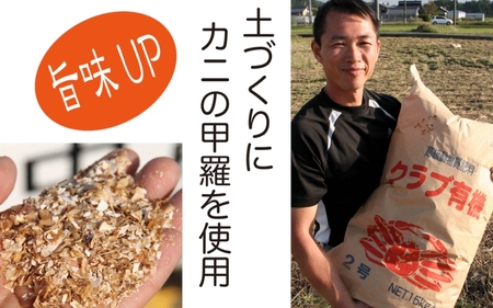 コシヒカリ 伊賀米コシヒカリ特別栽培米「真米」白米10kg コシヒカリ【ymnk0002】