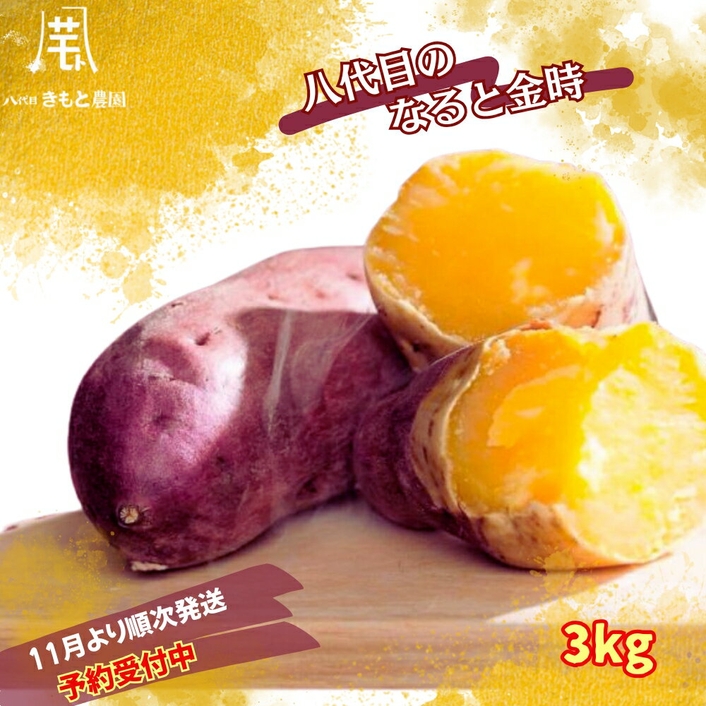 【ふるさと納税】【予約受付中・2025年11月頃より順次発送】 【木元農園】八代目の なると金時 約3kg ｜ 鳴門金時 甘い ホクホク 熟成 国産 鳴門 産地直送 スイーツ おやつ 焼き芋 焼芋 焼きいも 天ぷら 干し芋 スイートポテト 離乳食