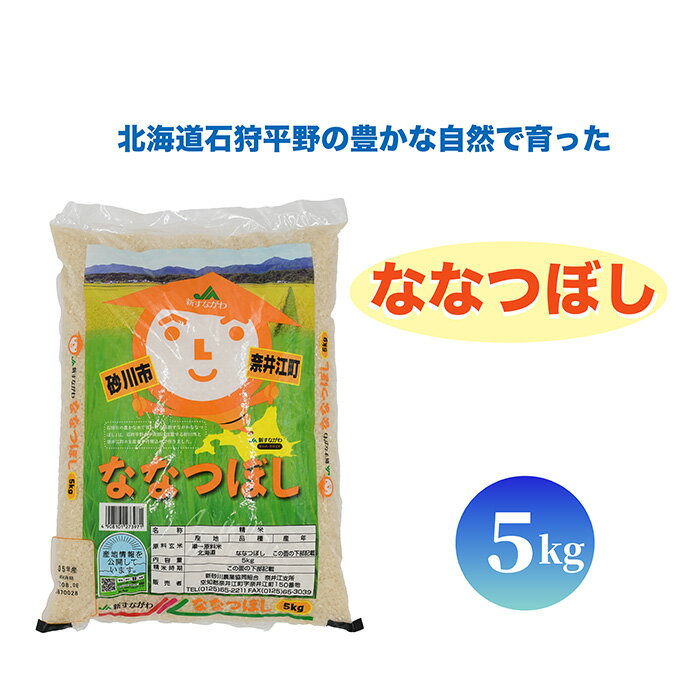 【ふるさと納税】【おコメ定期便】【新米】北海道奈井江町　ななつぼし　【5kg・10kg】