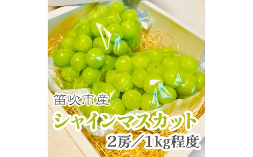 【2026年発送★先行予約】こだわりの逸品!　甘さと香り際立つ山梨県産シャインマスカット2房(合計1kg程度) 229-001-26y