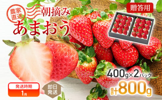 ※写真はイメージです