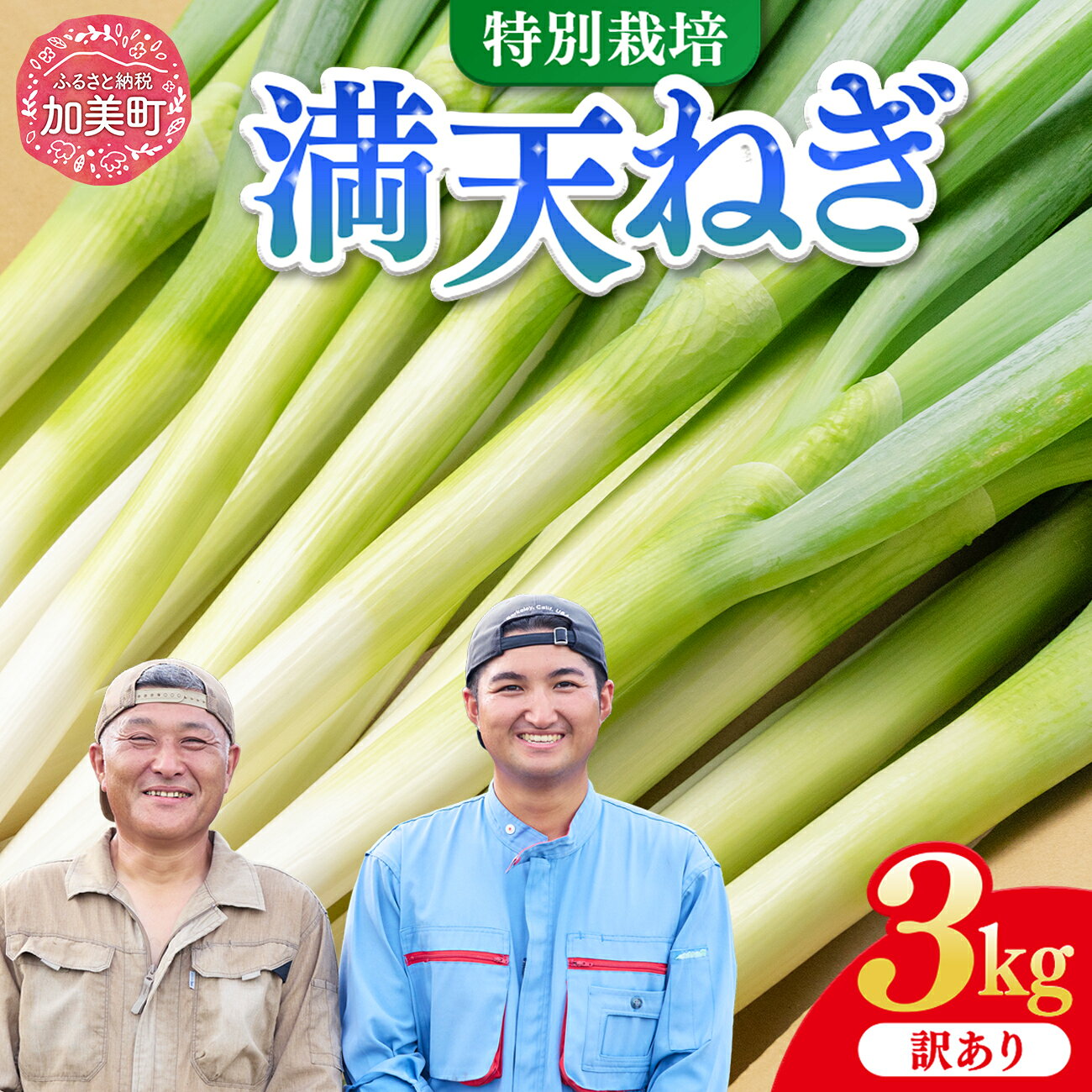 【ふるさと納税】 長ネギ 訳あり 3kg サイズおまかせ（2L/L/Bミックス）【先行予約】 満天ねぎ 加美町産 星農園 | ねぎ 長ねぎ 白ネギ 白ねぎ 宮城県 加美町 産地直送 甘み 旨味 みずみずしい ジューシー とろみ 鍋 焼きねぎ 炒め物 新鮮 国産 野菜 | tm-ng-wa03