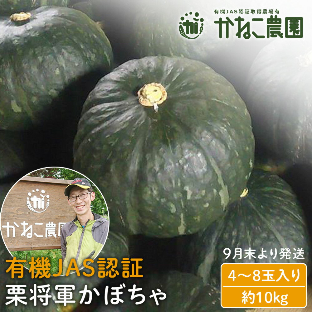 【ふるさと納税】【2025年9月末より発送】栽培期間農薬不使用！有機栗将軍かぼちゃ 4～8玉入り（約10kg）【かねこ農園】北海道ふるさと納税 野菜 南瓜 有機栽培 有機野菜 JAS認定圃場 北海道 【北海道千歳市】