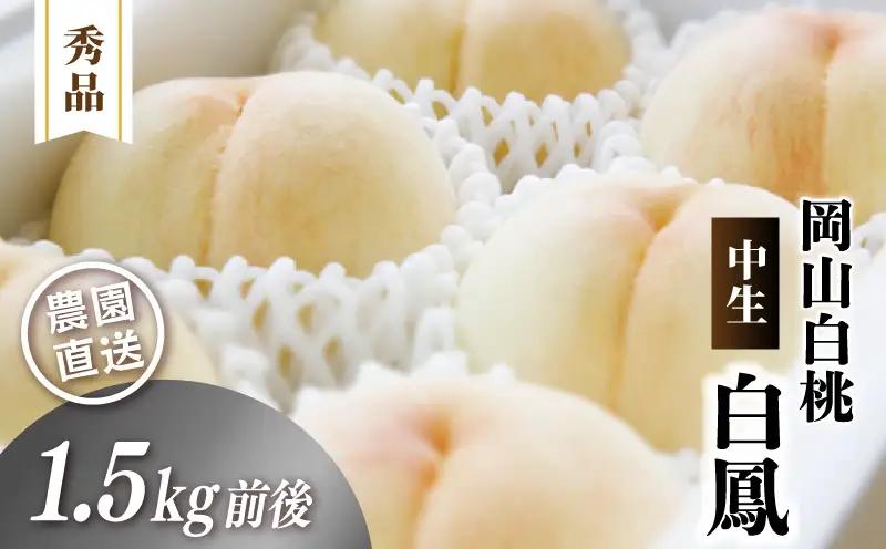岡山白桃 （中生／白鳳） 秀品 1.5kg前後 4～6玉 momo01 【配送不可地域：北海道／沖縄県／離島】 【jujy078-01】