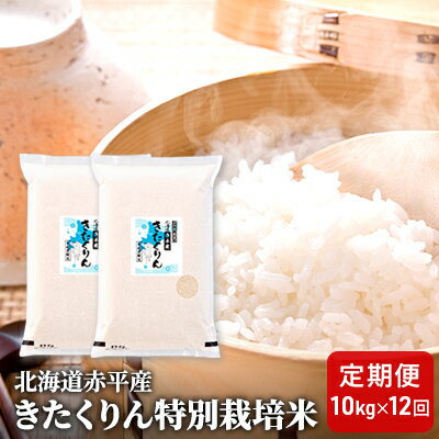 【ふるさと納税】北海道赤平産 きたくりん 10kg (5kg×2袋) 特別栽培米 【12回お届け】 精米 米 北海道 定期便 お米