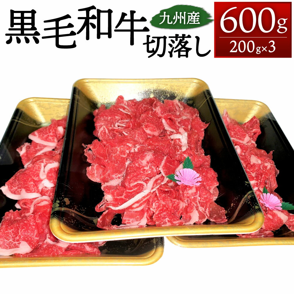 【ふるさと納税】九州産 黒毛和牛 切り落し 合計600g ( 200g×3 ) ウデ・モモ・バラ 切落し 国産牛 お肉 牛肉 切り落とし 和牛 冷凍 送料無料