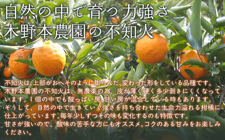 【栽培期間中農薬不使用】【先行受付】【数量限定】農園直送！愛媛県産不知火 5kg （2027年2月頃より順次発送） IKTG007