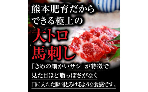 【熊本肥育】熊本馬刺しの真骨頂「大トロ」と定番セットの詰め合わせ 馬刺し 霜降り 赤身 たてがみ 馬肉 セット 食べ比べ 700g 醤油 熊本