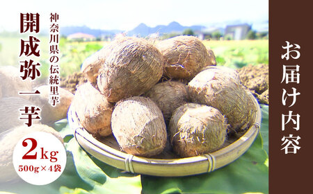 【先行予約】【メディア多数掲載！開成弥一芋】ホクホクねっとりやわらか～い里芋 2キロ【文命農業】開成町 サトイモ さといも 野菜[BDAX002]