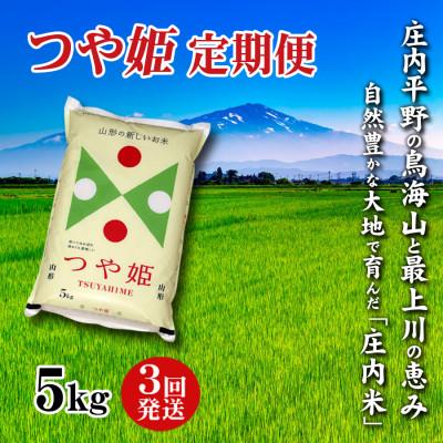 ふるさと納税 酒田市 【毎月定期便】山形県の米どころ庄内平野で育った庄内米　つや姫5kg全3回