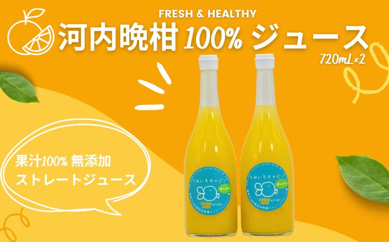 
            数量限定 河内晩柑 ( 愛南ゴールド ) ジュース 720ml 2本 セット 愛南 ゴールド オレンジジュース 柑橘 果汁 無添加 果汁 100% ジュース 贈答 ギフト プレゼント 河内晩柑 ばんかん 柑橘 かんきつ  愛媛 みかん 蜜柑 ゼリー 寒天 母の日 敬老の日 お歳暮 お中元 国産 みかんジュース 焼酎 蒸留酒 うみいろキャビン 愛媛県 愛南町
          