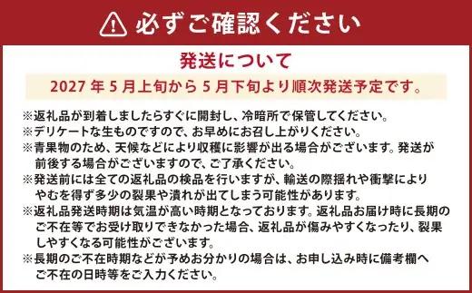 【2027年5月上旬から5月下旬発送】 熊本県産 アールスメロン1玉 1.6kg以上 グリーンメロン メロン フルーツ 果物 くだもの 国産