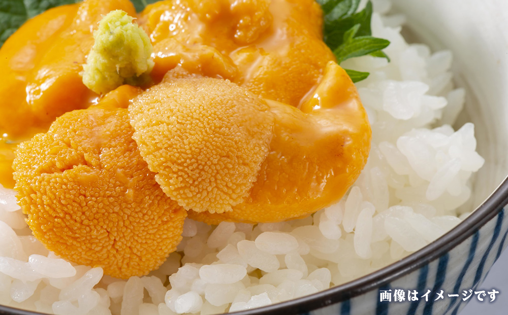 2026年発送 先行受付 ウニ本来の味が楽しめる【白老産】塩水ムラサキウニ 100g×2パック BT008