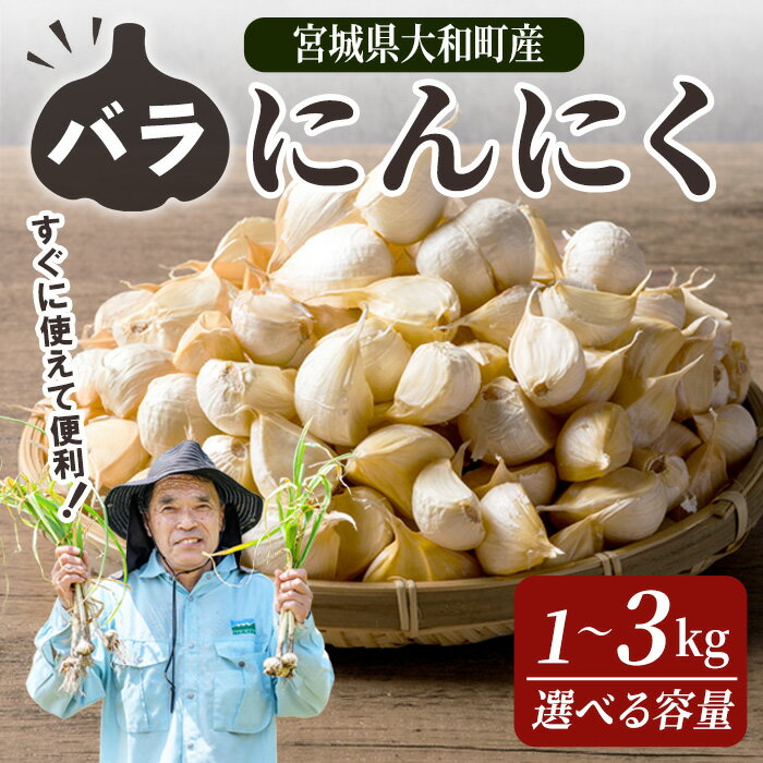 【ふるさと納税】特選バラにんにく 1〜3kg 選べる容量 にんにく ニンニク ガーリック 六片種 ばら ホワイト おつまみ 健康 食品 料理 産地直送 宮城県 大和町【株式会社ファーム沢渡】ta500・ta501