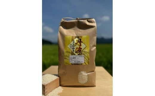 特別栽培米　丹波コシヒカリ　5kg