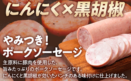 やみつきポークソー 2kg（10本） ボロニア ボロニアソーセージ 豚肉 ポークソーセージ にんにく 黒胡椒 おやつ ごはん おかず お酒 おつまみ 福岡県 福岡 九州 グルメ お取り寄せ