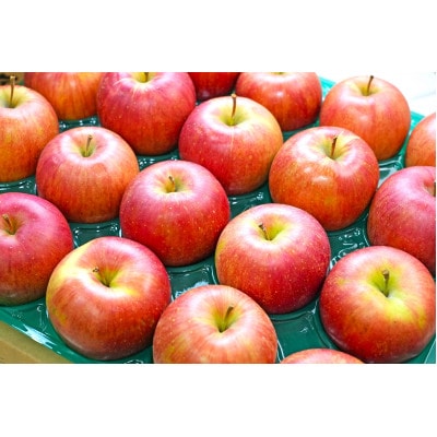 【25年12月出荷予定】平均糖度13度以上! シナノスイート 約10kg おもてなし用【配送不可地域：離島・沖縄県】