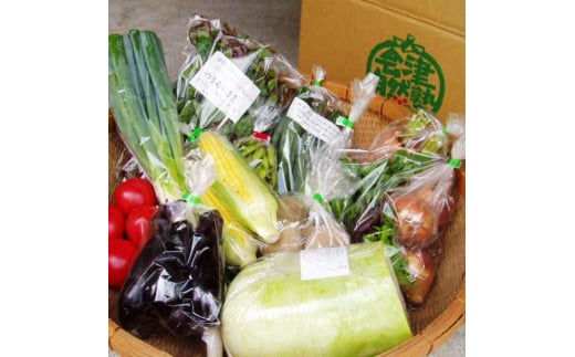 有機野菜セット　季節の採れたて有機野菜（およそ10点）を農家から直送 ◇ ※2025年7月上旬～12月中旬頃に順次配送予定