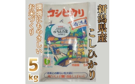 【令和7年産】阿賀野市 ささかみ産 こしひかり 「ゆうきの里のお米」 5kg 新潟コンバイン 白米 精米 新潟県 コシヒカリ コシ 米 お米 ごはん ご飯 3P03016