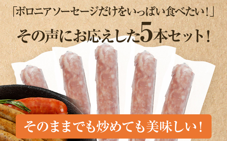 ボロニアソーセージ５本(160g×5)セット ソーセージ ボロニア 名水豚 お肉 ステーキ バーベキュー BBQ 惣菜 豚肉 ウデ肉100% お弁当 朝ごはん 朝食 おかず 福岡県 大木町 お取り寄せ