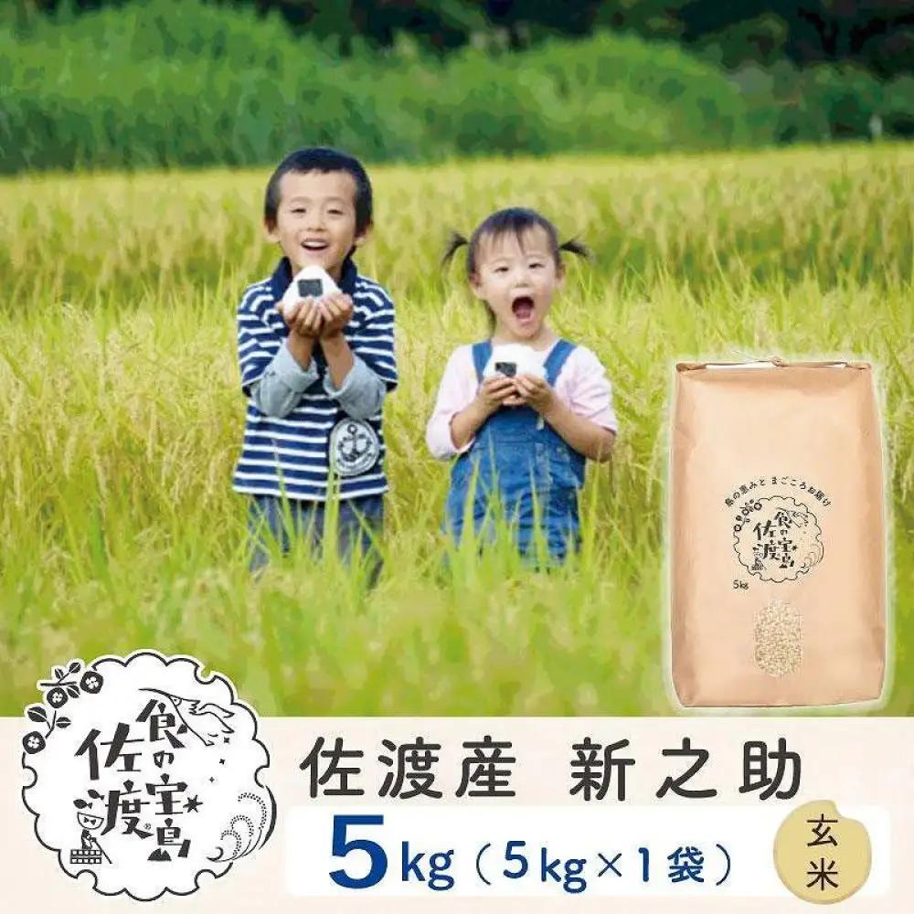佐渡島産 新之助 玄米5kg×1袋