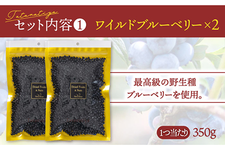 ワイルドブルーベリー700gセットB(ヨーグルト用ミックス、なつめ)【多々楽達屋】厳選 濃厚 果物 パイン レーズン マンゴー グレープ 杏 おつまみ おやつ お菓子 製菓材料 間食 食べやすい ヘル