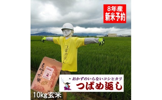 【令和8年産米予約受付中】おかずのいらないコシヒカリ「つばめ返し」玄米10kg FC025041